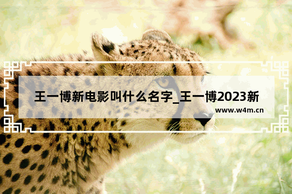 王一博新电影叫什么名字_王一博2023新剧都有哪些