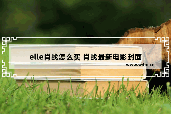 elle肖战怎么买 肖战最新电影封面