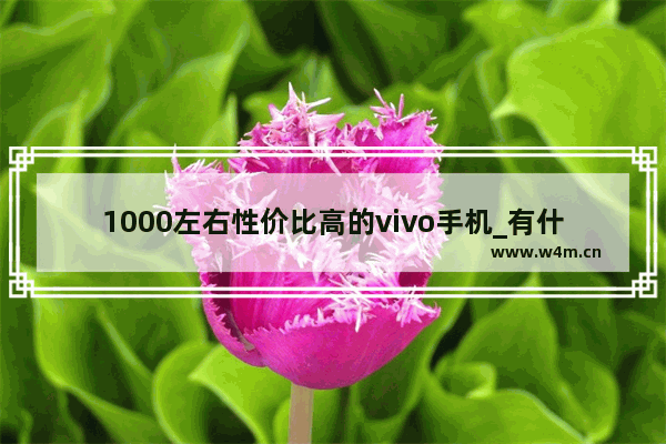 1000左右性价比高的vivo手机_有什么1000元左右的vivo手机推荐