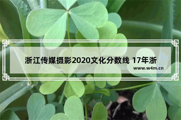 浙江传媒摄影2020文化分数线 17年浙江传媒高考分数线