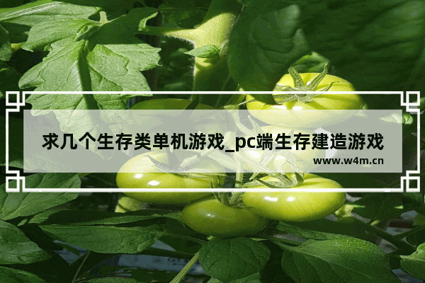 求几个生存类单机游戏_pc端生存建造游戏推荐