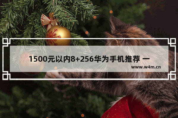 1500元以内8+256华为手机推荐 一千以内五g手机推荐