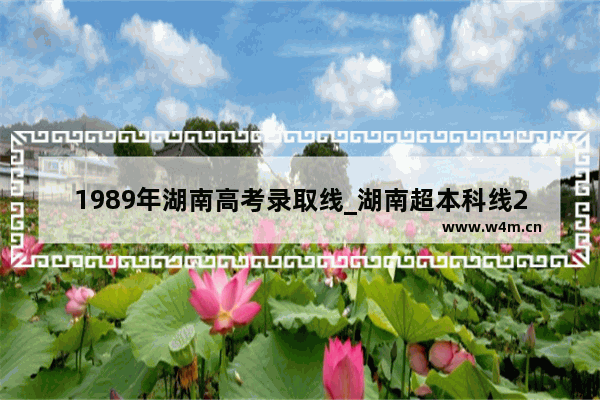 1989年湖南高考录取线_湖南超本科线20分能上什么公办学校