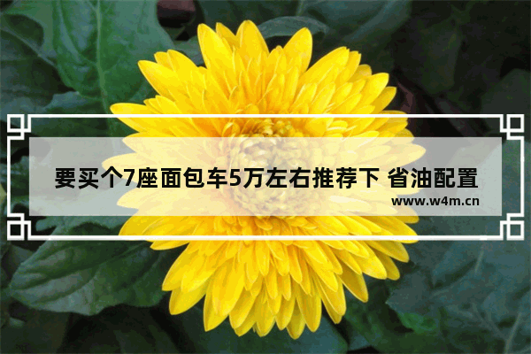 要买个7座面包车5万左右推荐下 省油配置高 新车推荐5万到7万手动车型哪款好