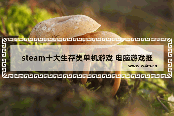 steam十大生存类单机游戏 电脑游戏推荐大型生存游戏免费