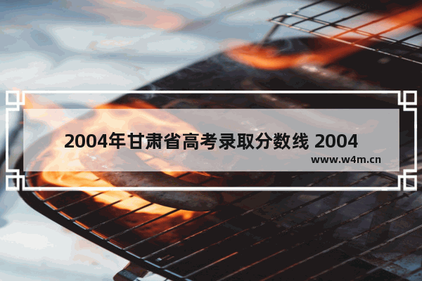 2004年甘肃省高考录取分数线 2004甘肃省高考分数线