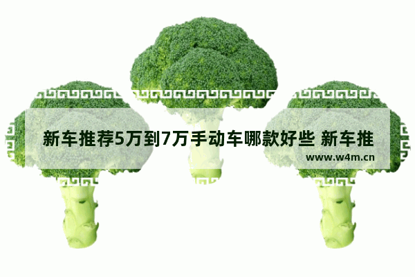 新车推荐5万到7万手动车哪款好些 新车推荐5万到7万手动车哪款好些