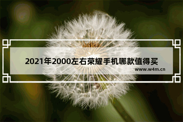 2021年2000左右荣耀手机哪款值得买 二千块钱以内荣耀手机推荐