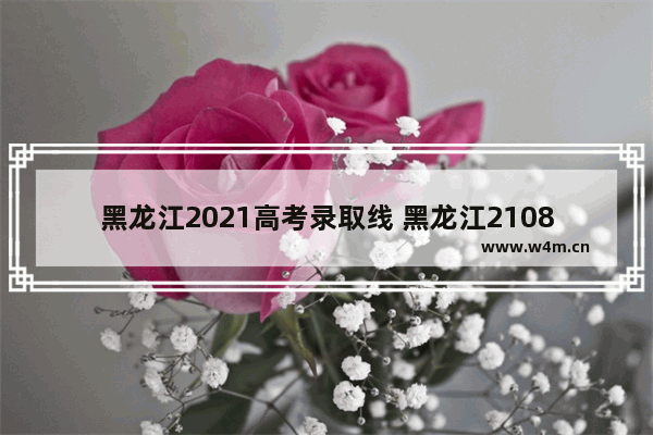 黑龙江2021高考录取线 黑龙江2108高考分数线