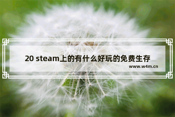 20 steam上的有什么好玩的免费生存游戏 steam 游戏推荐免费生存射击手游