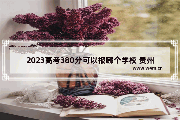 2023高考380分可以报哪个学校 贵州黔南州高考分数线