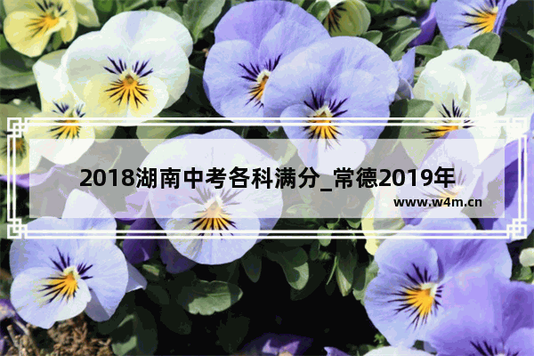 2018湖南中考各科满分_常德2019年高考喜报