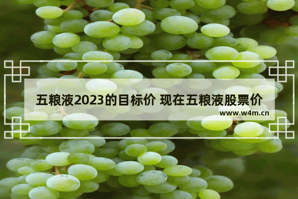 五粮液2023的目标价 现在五粮液股票价格多少