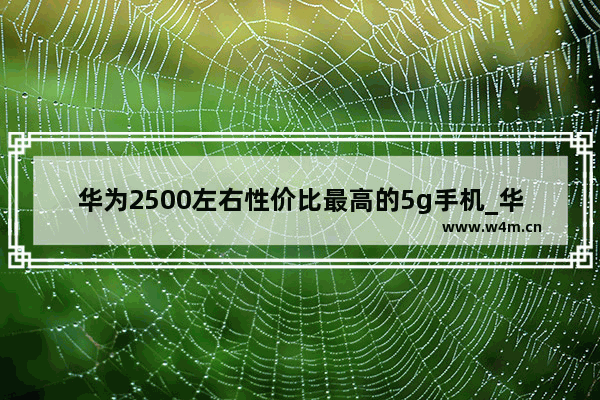 华为2500左右性价比最高的5g手机_华为1000到2000元的5g手机推荐