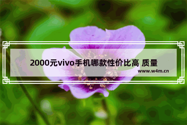 2000元vivo手机哪款性价比高 质量好2021年 有两千以内5g手机推荐吗