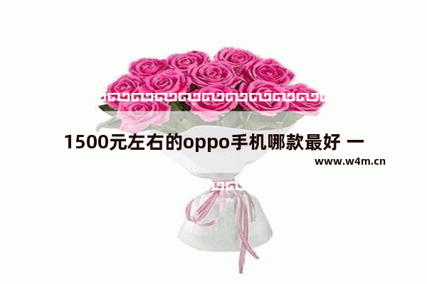 1500元左右的oppo手机哪款最好 一千到两千五左右手机推荐