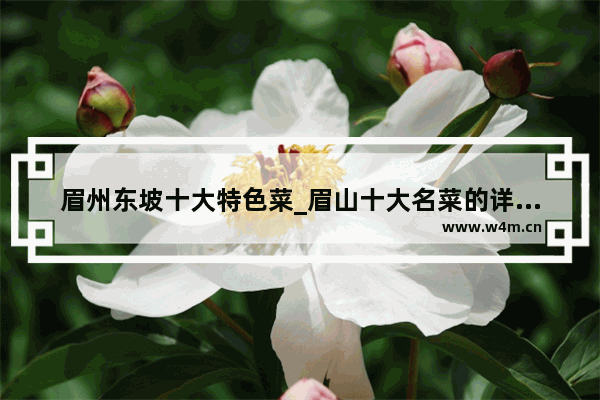 眉州东坡十大特色菜_眉山十大名菜的详细做法