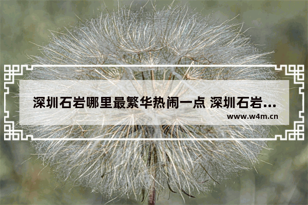 深圳石岩哪里最繁华热闹一点 深圳石岩附近美食推荐搜索