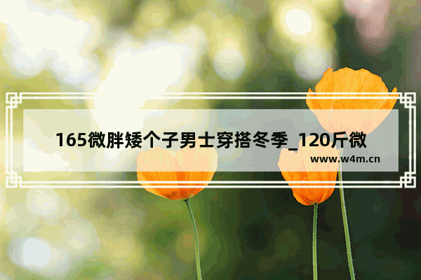 165微胖矮个子男士穿搭冬季_120斤微胖男生穿搭夏季