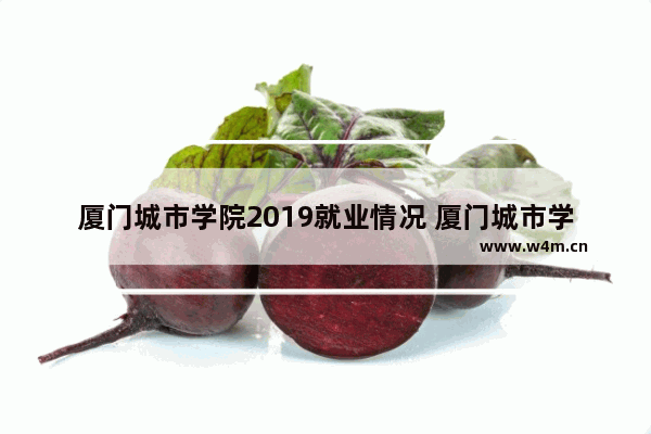 厦门城市学院2019就业情况 厦门城市学院高考分数线