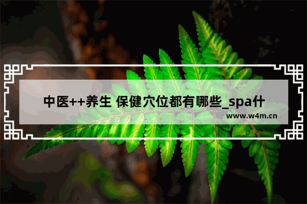 中医++养生 保健穴位都有哪些_spa什么意思