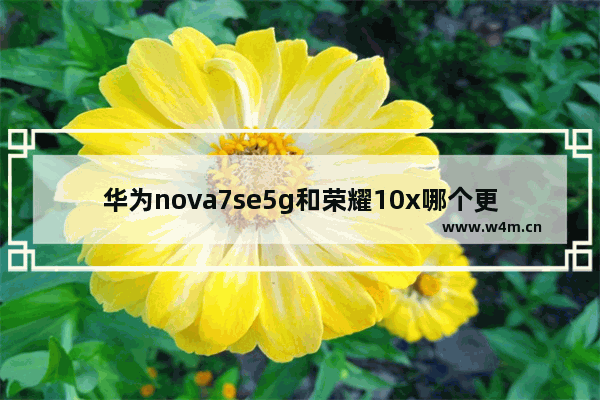 华为nova7se5g和荣耀10x哪个更好 荣耀大屏幕手机推荐7寸以上价格表