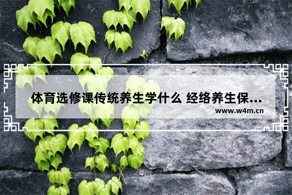 体育选修课传统养生学什么 经络养生保健操精编版下篇