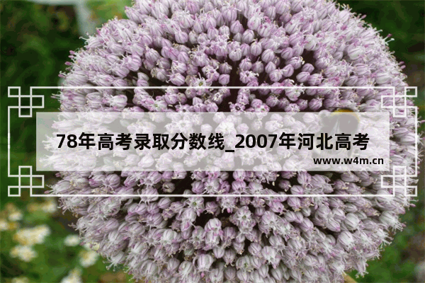 78年高考录取分数线_2007年河北高考录取分数线