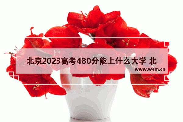 北京2023高考480分能上什么大学 北京印刷学院新高考分数线