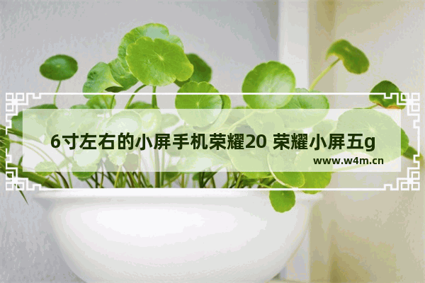 6寸左右的小屏手机荣耀20 荣耀小屏五g手机推荐型号