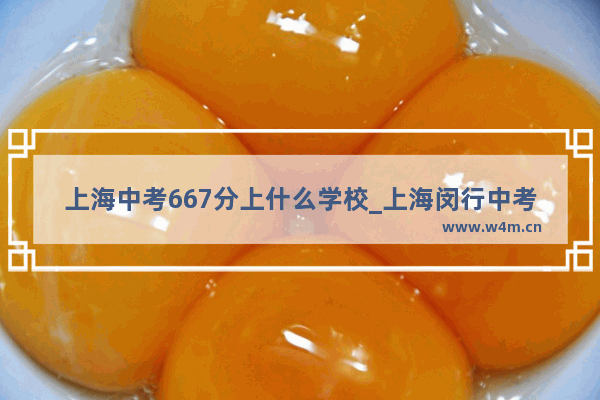 上海中考667分上什么学校_上海闵行中考成绩644、5能上什么样高中学校