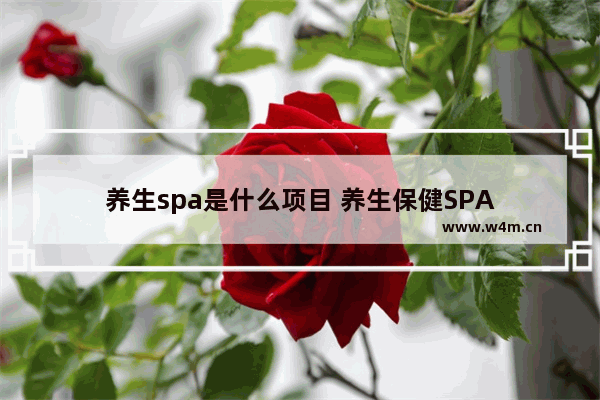 养生spa是什么项目 养生保健SPA