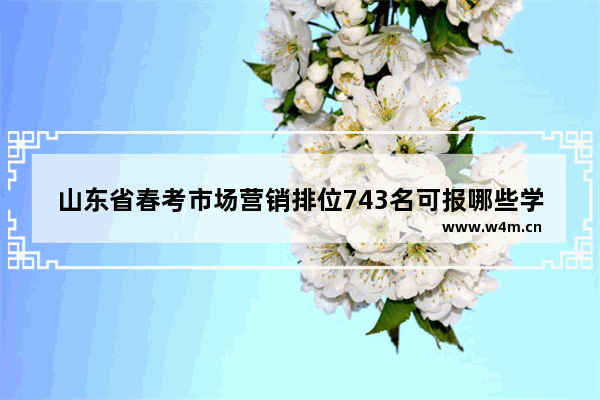 山东省春考市场营销排位743名可报哪些学校_市场营销多少分能上潍坊学院