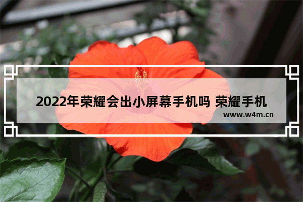 2022年荣耀会出小屏幕手机吗 荣耀手机小屏幕手机推荐