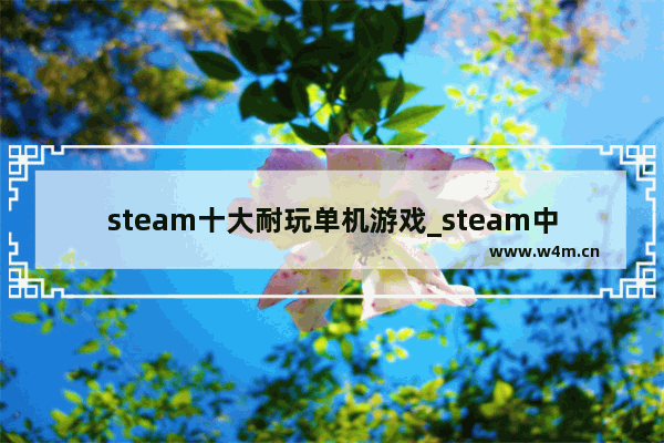 steam十大耐玩单机游戏_steam中免费的双人生存游戏