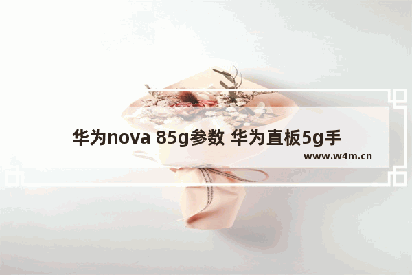 华为nova 85g参数 华为直板5g手机推荐