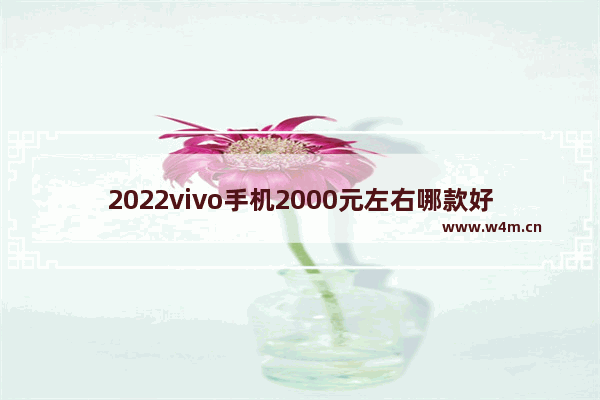 2022vivo手机2000元左右哪款好 两千左右手机推荐排行前十