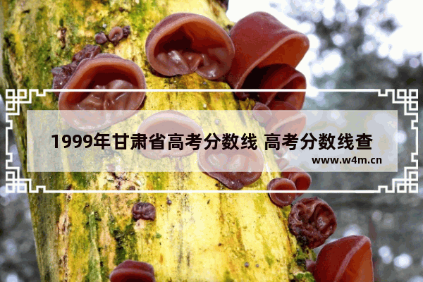 1999年甘肃省高考分数线 高考分数线查询甘肃省