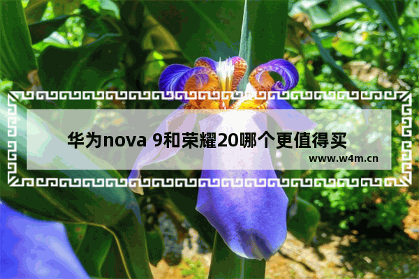 华为nova 9和荣耀20哪个更值得买 华为及荣耀手机推荐哪款