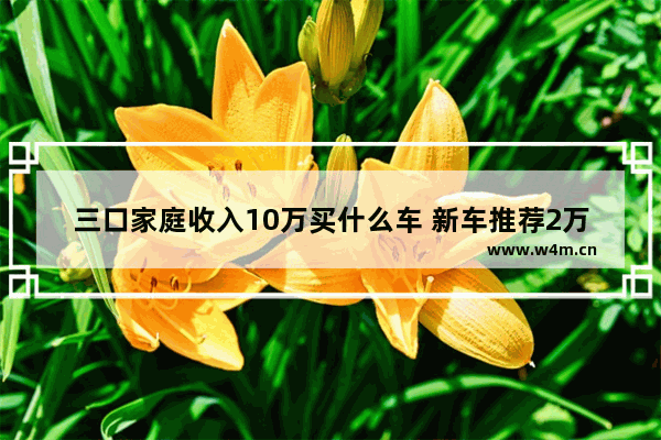 三口家庭收入10万买什么车 新车推荐2万到4万三口之家适合开什么车型好点