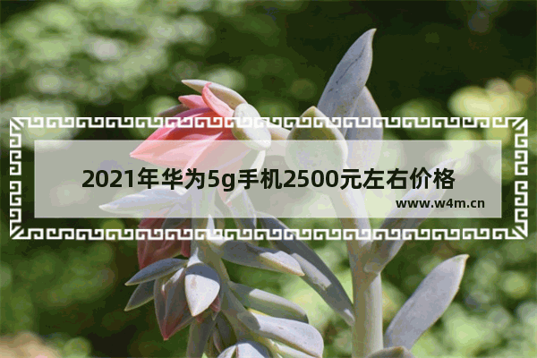 2021年华为5g手机2500元左右价格的哪款手机好_京东荣耀50pro为啥那么便宜