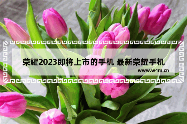 荣耀2023即将上市的手机 最新荣耀手机推荐哪款好一点