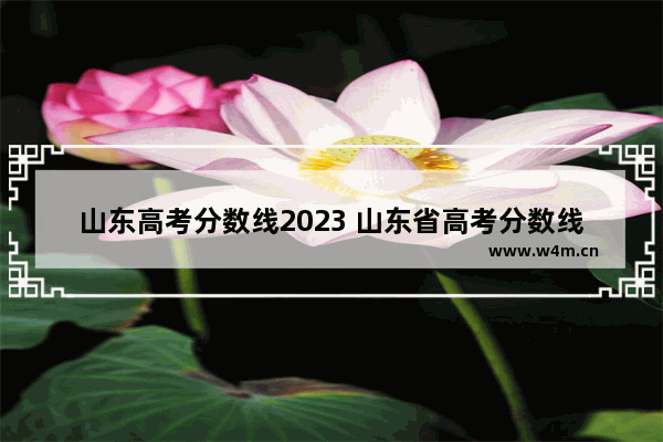 山东高考分数线2023 山东省高考分数线全部