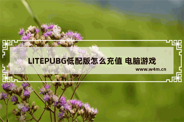 LITEPUBG低配版怎么充值 电脑游戏推荐免费低配闯关