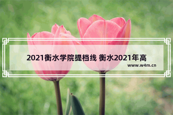 2021衡水学院提档线 衡水2021年高考分数线