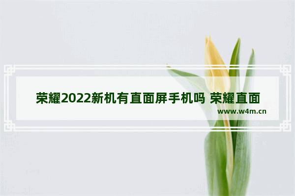 荣耀2022新机有直面屏手机吗 荣耀直面屏4g手机推荐哪款