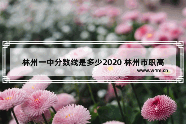 林州一中分数线是多少2020 林州市职高考分数线