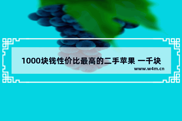 1000块钱性价比最高的二手苹果 一千块钱苹果手机推荐哪款好用