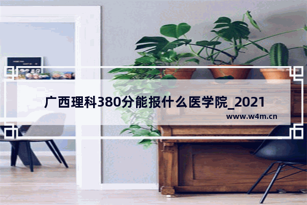 广西理科380分能报什么医学院_2021年百色右江医学院是一本吗