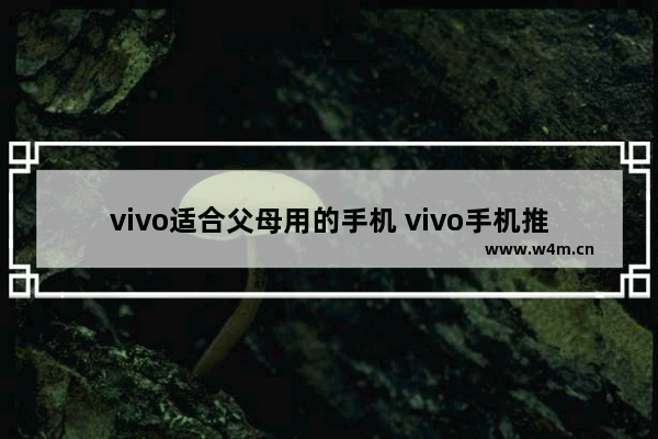 vivo适合父母用的手机 vivo手机推荐性价比高适合父母